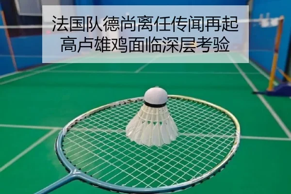 法国队德尚离任传闻再起 高卢雄鸡面临深层考验